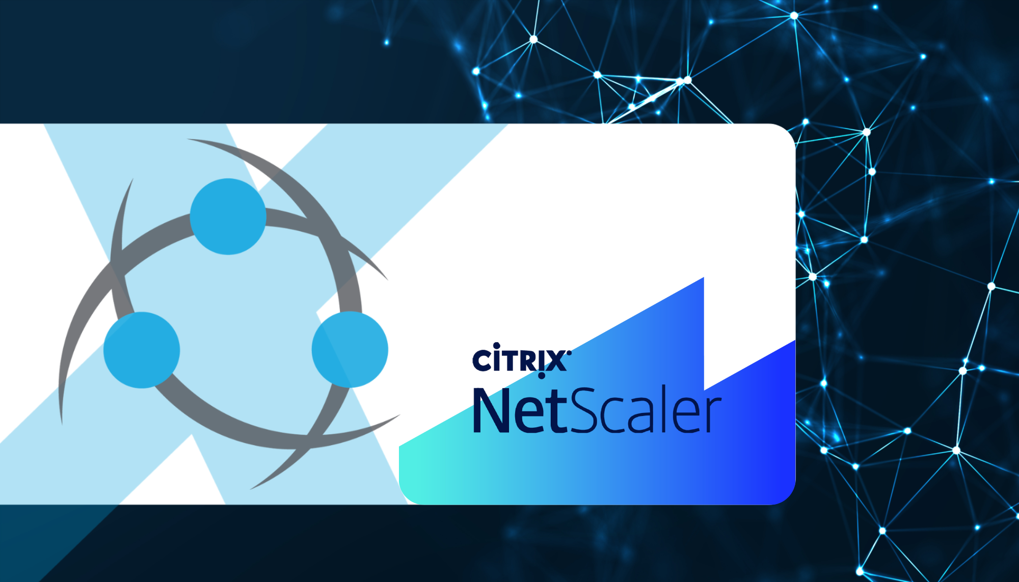 Citrix Netscaler